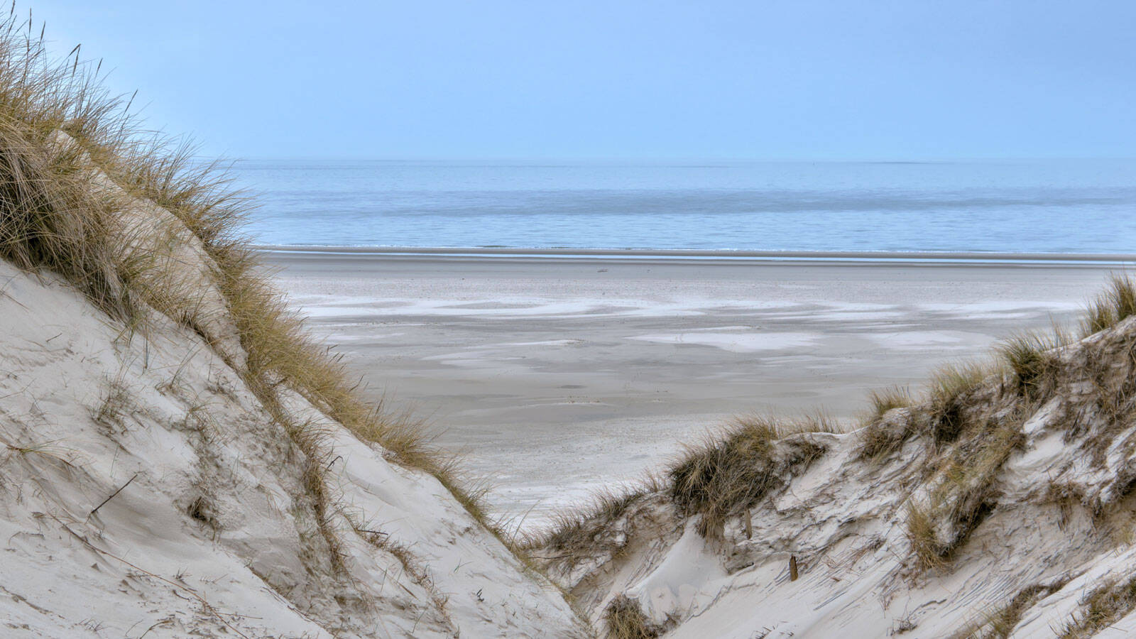 reserve-des-dunes-et-marais